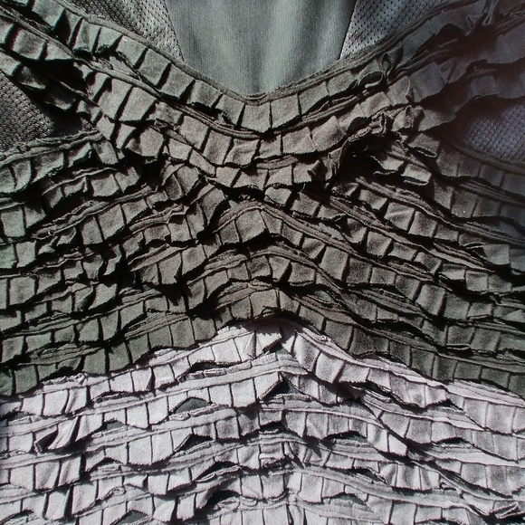 Bcbgmaxazria Runway 2009 Silk Mesh Tier Skirt 4 - Picture 5 of 9